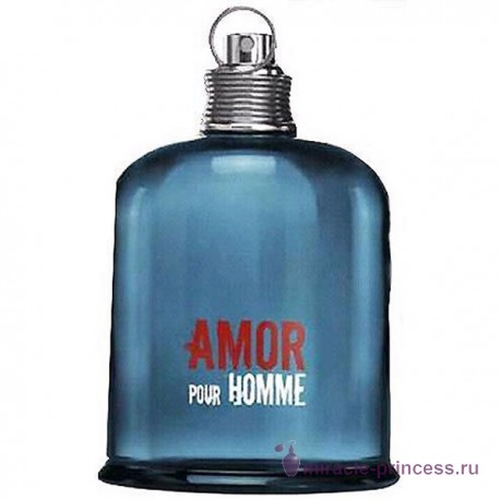 Cacharel Amor Pour Homme 11