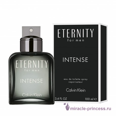 Calvin Klein Eternity For Men Intense 22