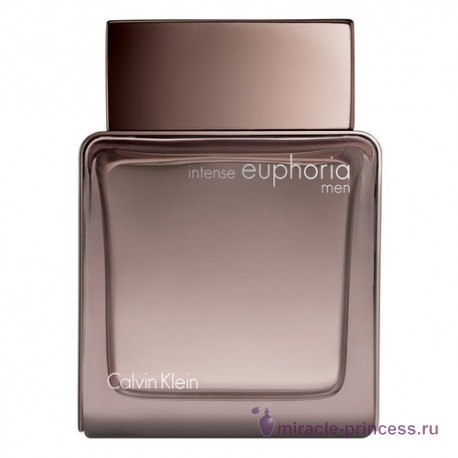 Calvin Klein Euphoria Men Intense 11