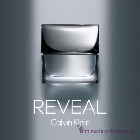 Calvin Klein Reveal Men 22