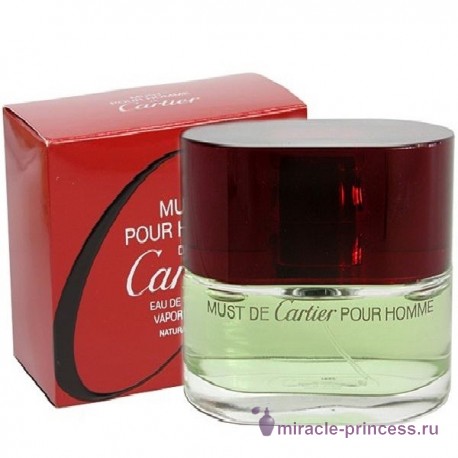 Cartier Must De Cartier For Men 22