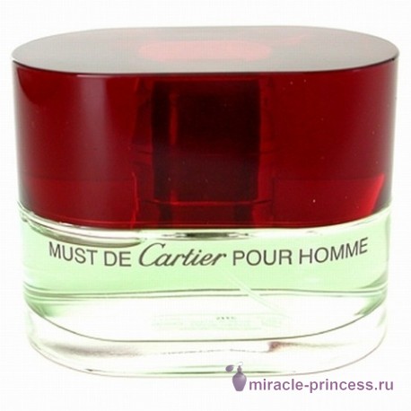 Cartier Must De Cartier For Men 11