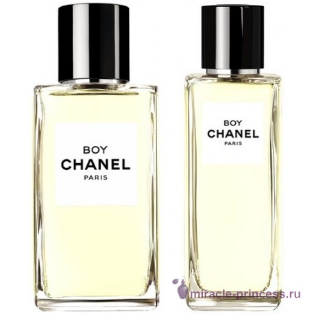 Chanel Boy 22