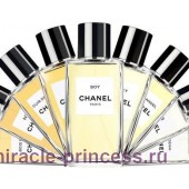Chanel Boy