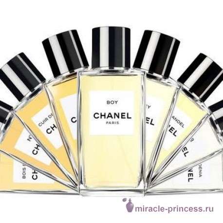 Chanel Boy 22