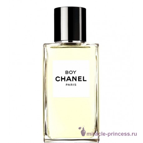 Chanel Boy 11