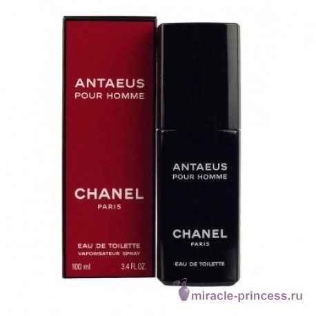 Chanel Antaeus 22