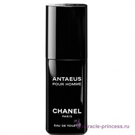 Chanel Antaeus 11