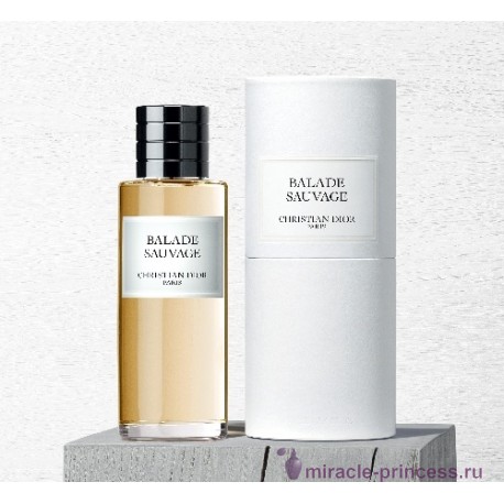 Christian Dior Balade Sauvage 22