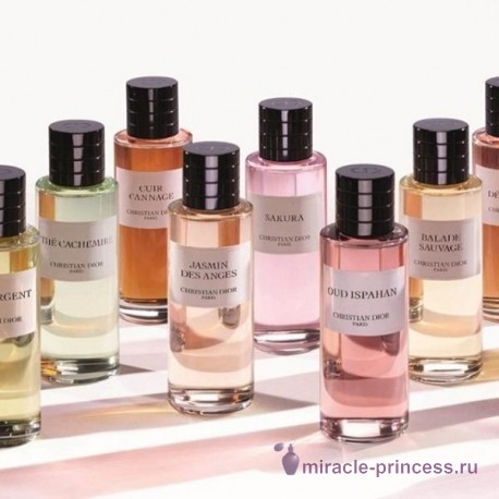 Christian Dior Balade Sauvage 22