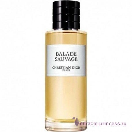 Christian Dior Balade Sauvage 11