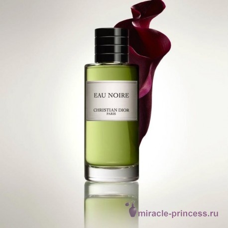 Christian Dior Eau Noire 22