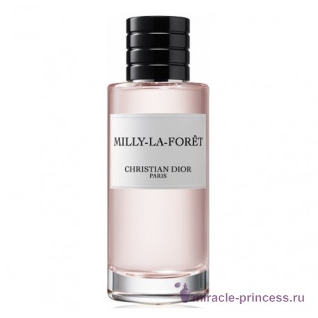 Christian Dior Milly-la-Foret 11