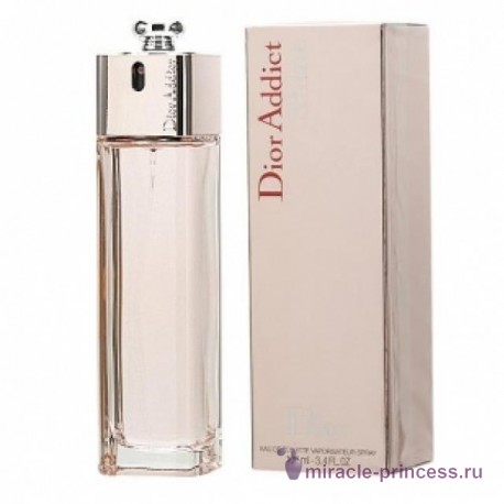 Christian Dior Dior Addict Shine 22