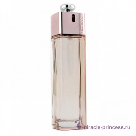 Christian Dior Dior Addict Shine 11