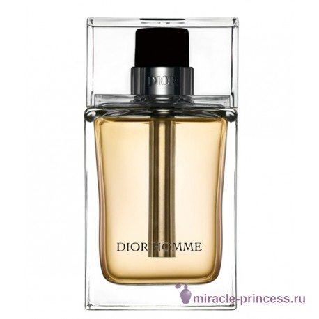 Christian Dior Dior Homme 11