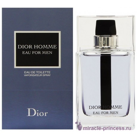 Christian Dior Dior Homme Eau for Men 22