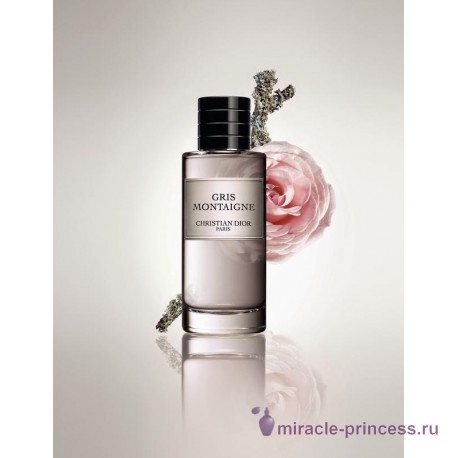 Christian Dior Gris Montaigne 22