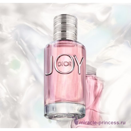 Christian Dior Joy 22