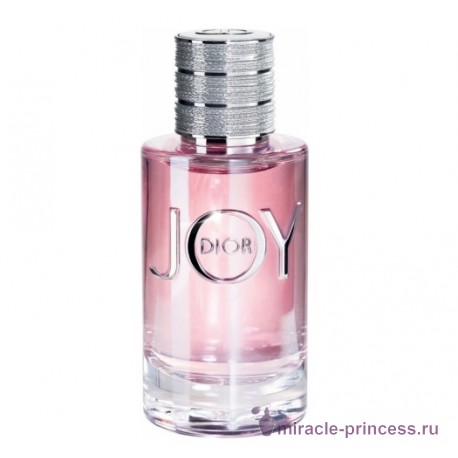 Christian Dior Joy 11