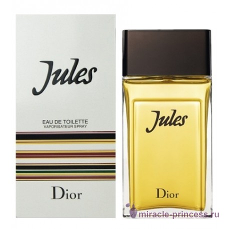 Christian Dior Jules 2016 22