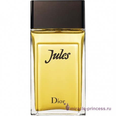 Christian Dior Jules 2016 11