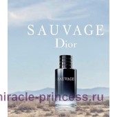 Christian Dior Sauvage