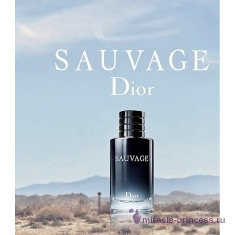 Christian Dior Sauvage 22