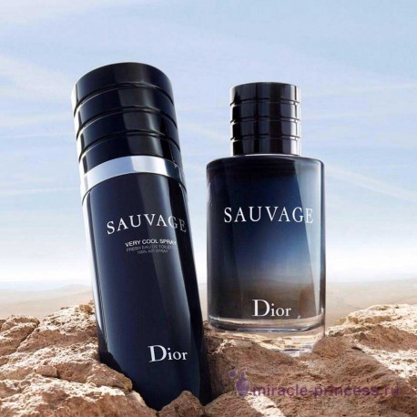 Christian Dior Sauvage Very Cool Spray 22