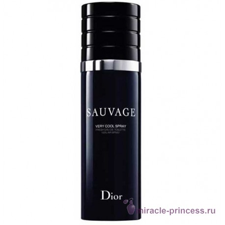 Christian Dior Sauvage Very Cool Spray 11