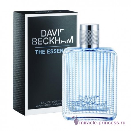 David Beckham The Essence 22