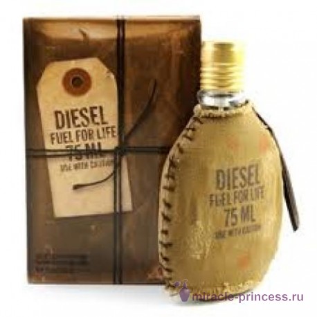 Diesel Fuel For Life Pour Homme 22