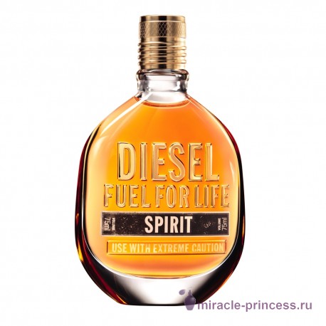 Diesel Fuel For Life Spirit 11