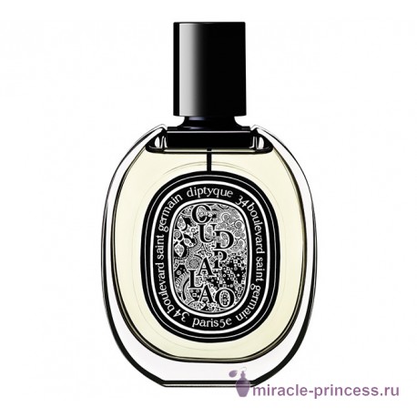 Diptyque Oud Palao 11