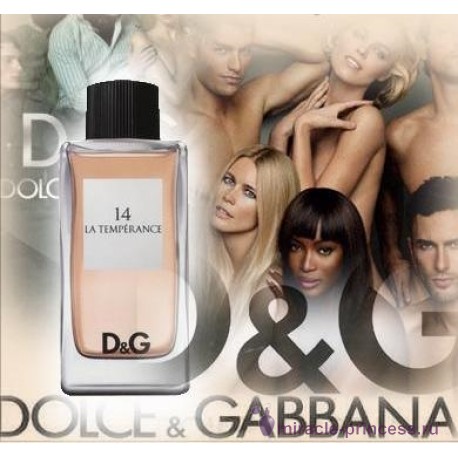 Dolce & Gabbana 14 La Temperance 22