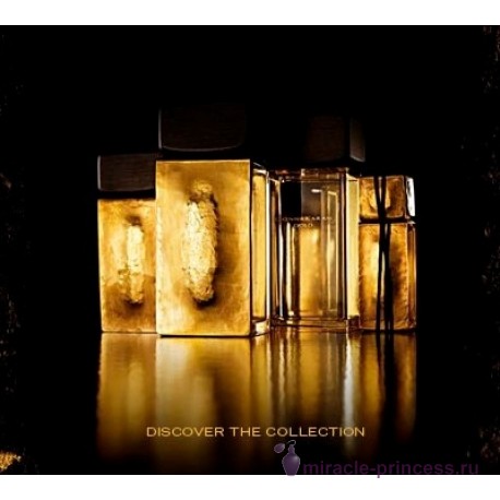 Donna Karan Gold 22