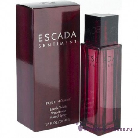 Escada Sentiment Pour Homme 22