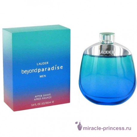 Estee Lauder Beyond Paradise For Men 22