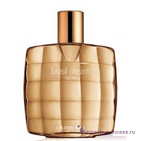 Estee Lauder Brasil Dream for men 11