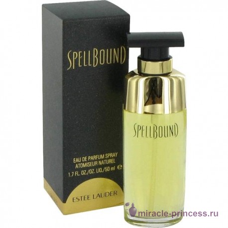 Estee Lauder Spellbound 22