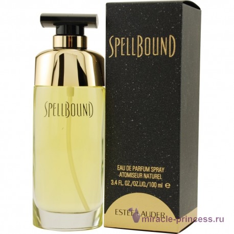 Estee Lauder Spellbound 22