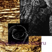 EX Nihilo Midnight Special