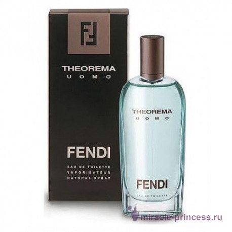 Fendi Theorema Uomo 22