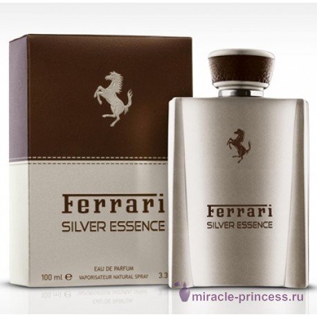 Ferrari Silver Essence 22