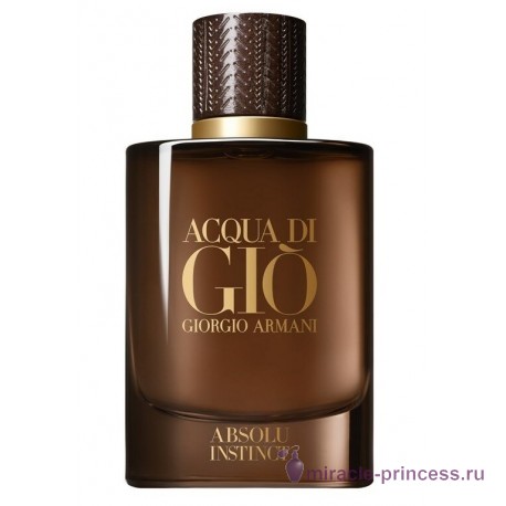 Giorgio Armani Acqua Di Gio Absolu Instinct 11