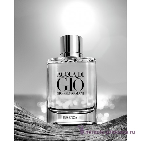 Giorgio Armani Acqua di Gio Essenza Pour Homme 22