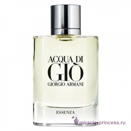 Giorgio Armani Acqua di Gio Essenza Pour Homme 11