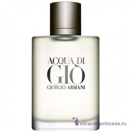 Giorgio Armani Acqua Di Gio Pour Homme 11