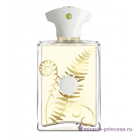 Amouage Bracken Man 11