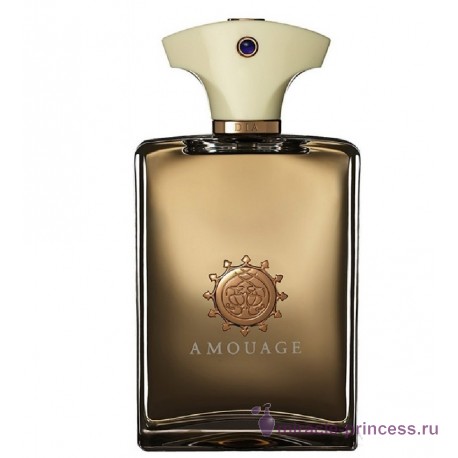 Amouage Dia pour homme 11